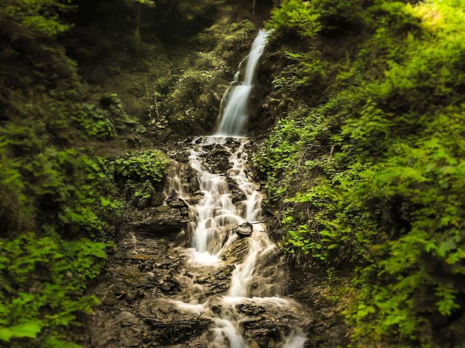 Popasul Verde Синджорз-Бай Екстер'єр фото